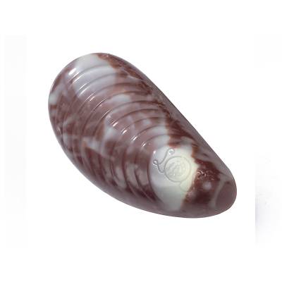 Pralinka Mussel mléčná - Belgické pralinky Leonidas